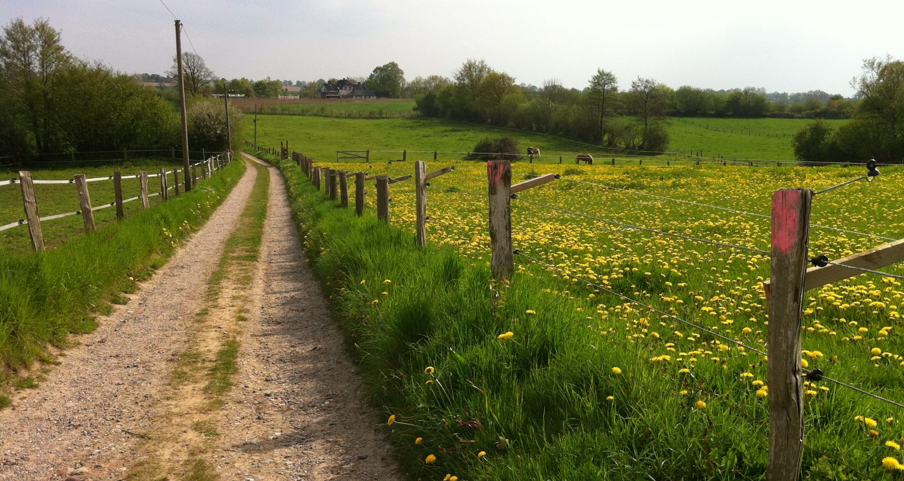 Weg Richtung Nord-Ostsee-Kanal